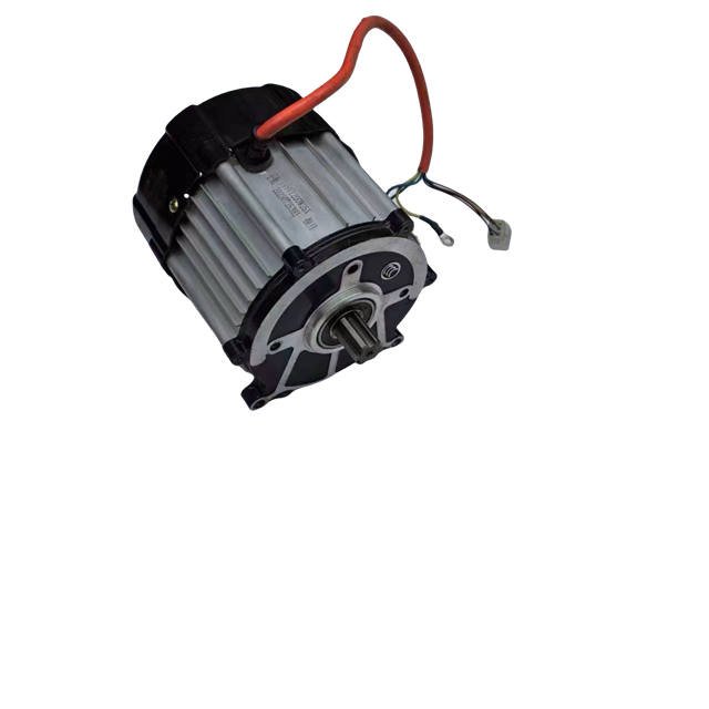 High Quality Electric Engine Brushless DC Motor Tricycle Motor