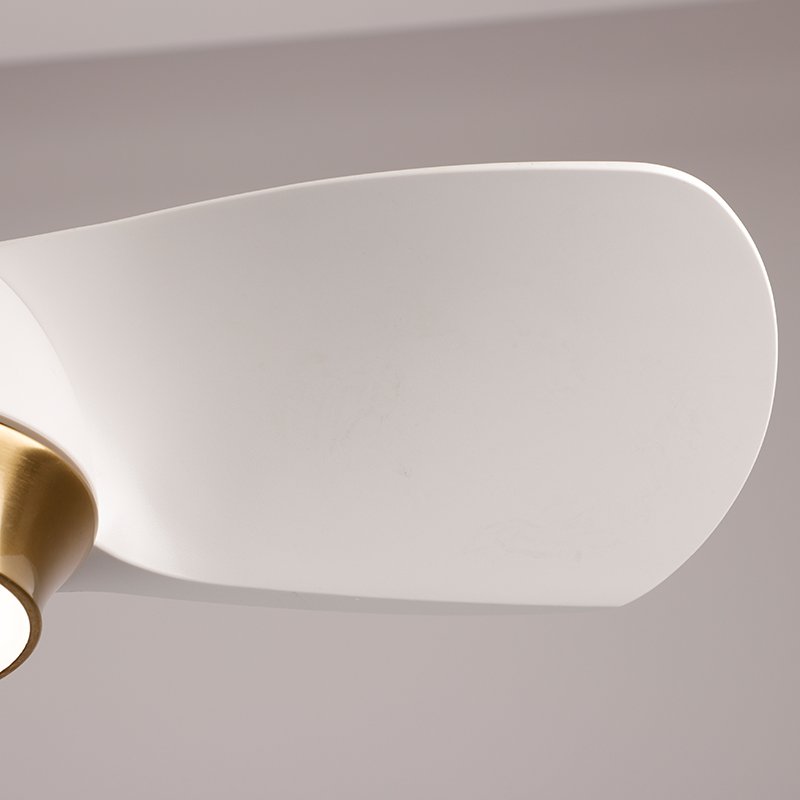 World's Best Selling Electric Motor Ceiling Fans with Light and Remote