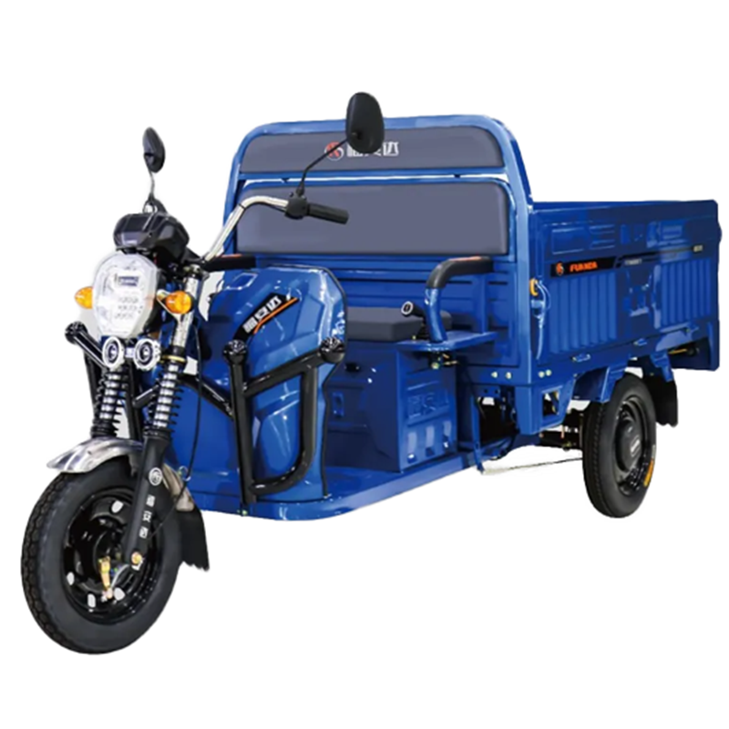 Made in China Wholesale 3 Wheel Trike E Rickshaw Electric Cargo Tricycle Suppliers Electric Auto Rickshaw Motor