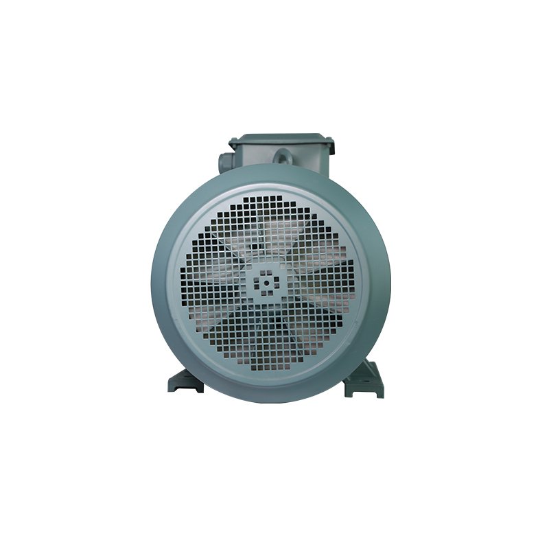 European Standard High Quality YVF2 132 Kw Variable Frequency Speed Regulation Three-Phase Asynchronous AC Motor