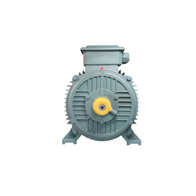 European Standard High Quality YVF2 132 Kw Variable Frequency Speed Regulation Three-Phase Asynchronous AC Motor