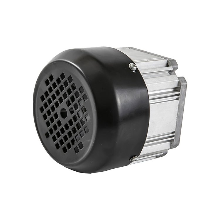 High Efficiency Auto Machinery 24V Gear Lightweight DC Brushless Electric Motor
