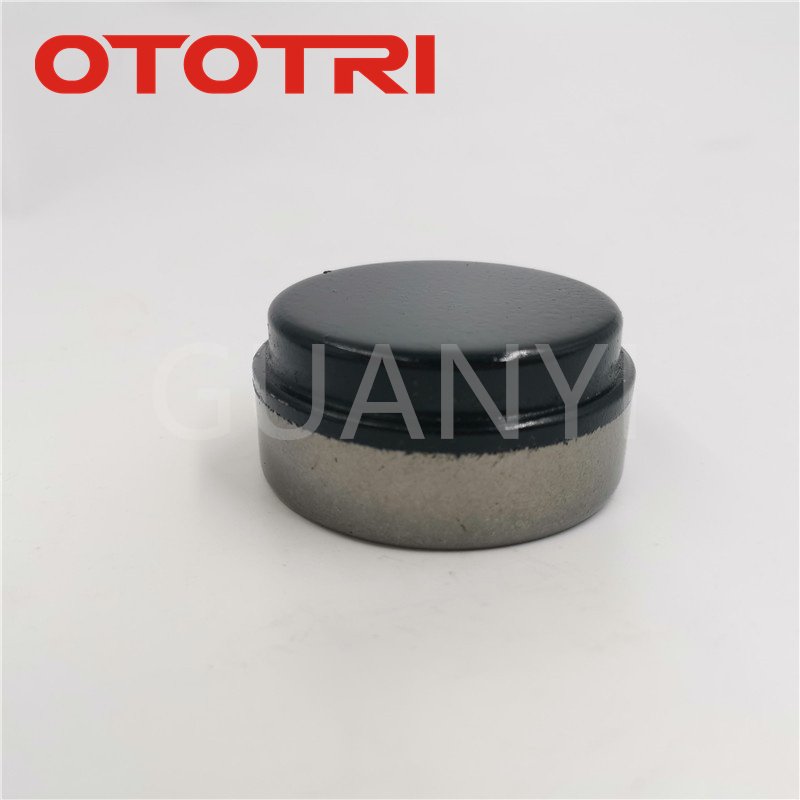OTOTRI AUTO Needle Bearing Bearing Peugeot 405 External Needle Bearing DBF68933