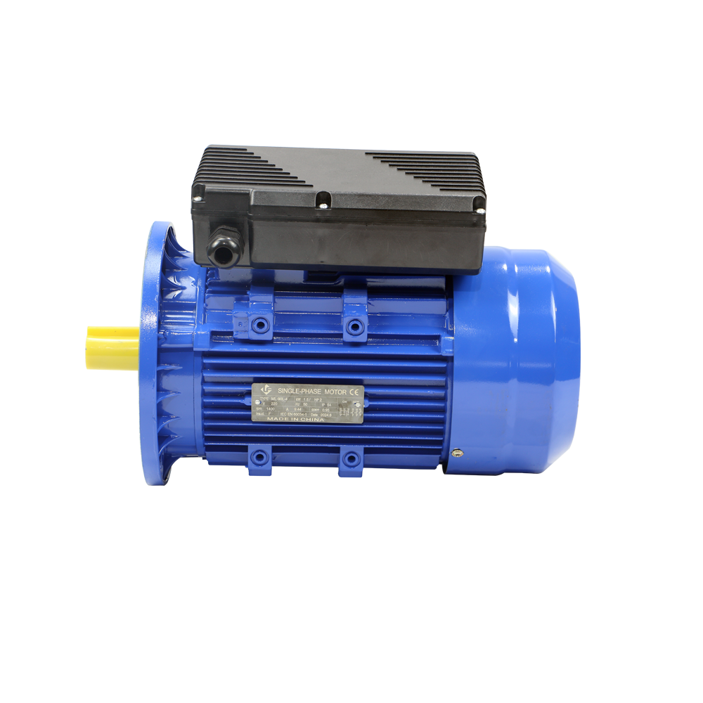 Motor Manufacturer Fast Delivery IE1 IE2 Aluminum Single Phase Induction AC Motor