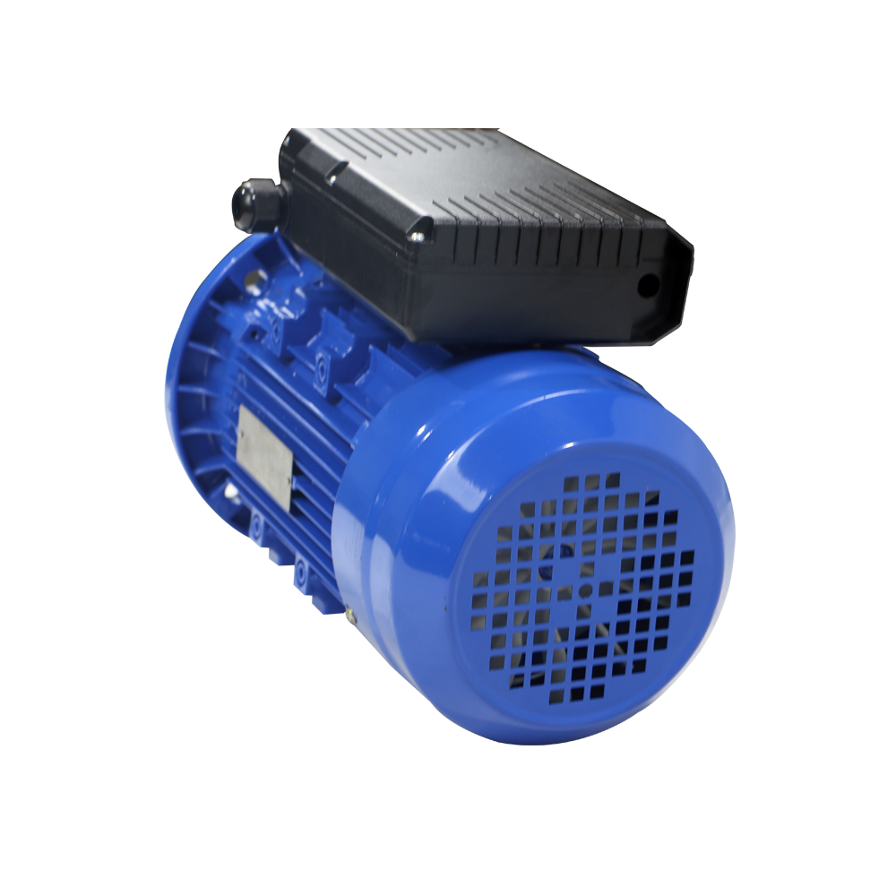 Motor Manufacturer Fast Delivery IE1 IE2 Aluminum Single Phase Induction AC Motor