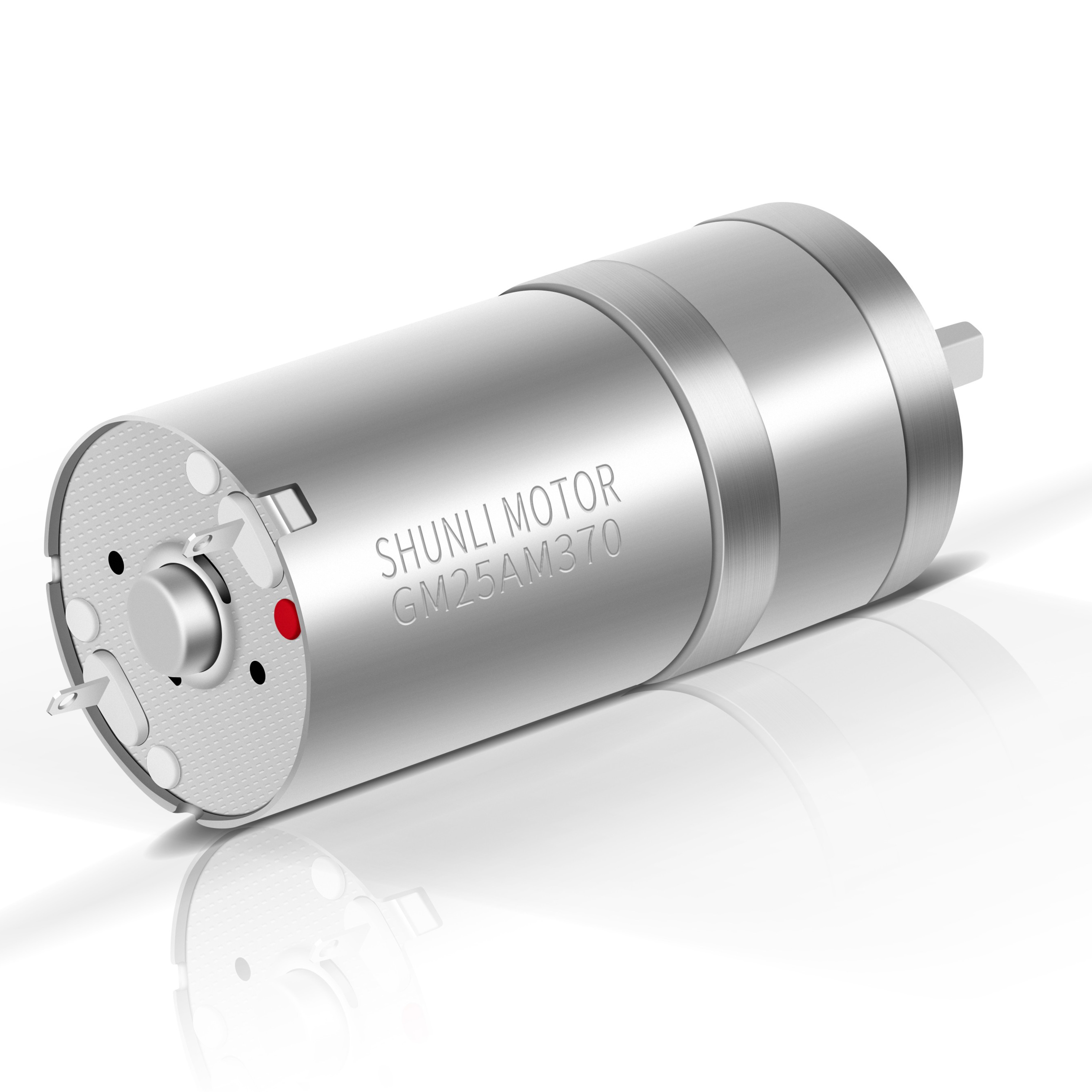 Shunli Customized 12V 24Volt Permanent Magnet High Speed Brushless Dc Motor for Electric Auto Rickshaw Geared Controller