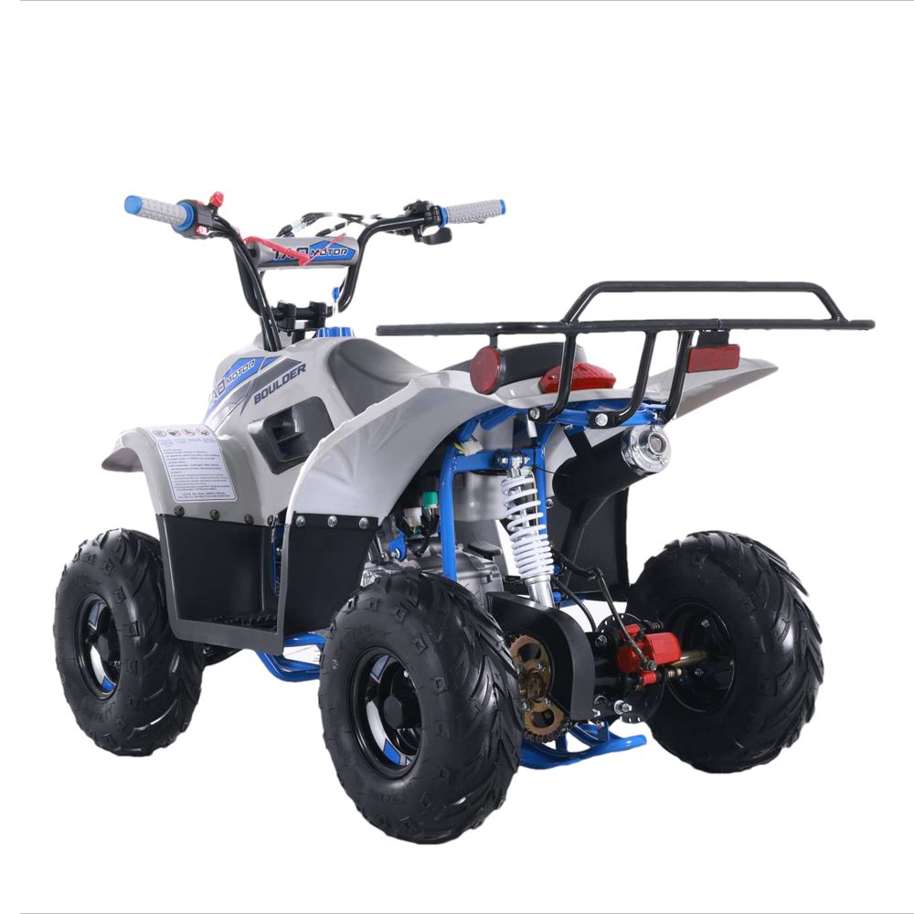 Tao Motor New Atvs 110cc ATV for Sale Quadricycle Beach Buggy Design Kids Automatic Off Road Buggy 15 Year Old Electric for Kids
