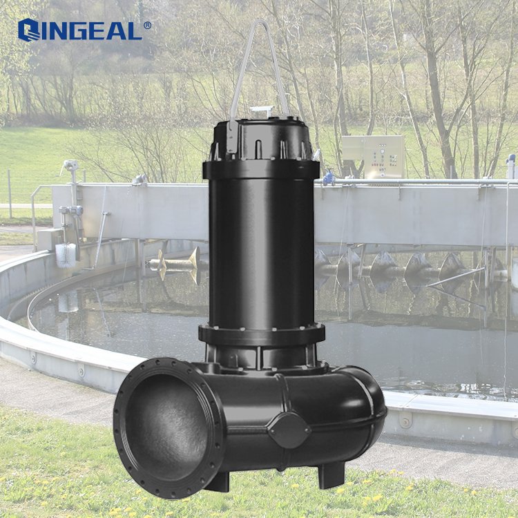 2-Inch Centrifugal AC Motor Drain Pump for Pond Sewage Lift Station Washing Machine Water & Sewage Sludge Pump