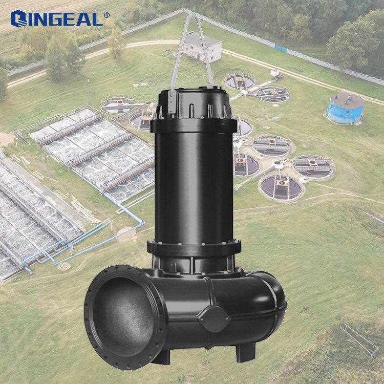 2-Inch Centrifugal AC Motor Drain Pump for Pond Sewage Lift Station Washing Machine Water & Sewage Sludge Pump