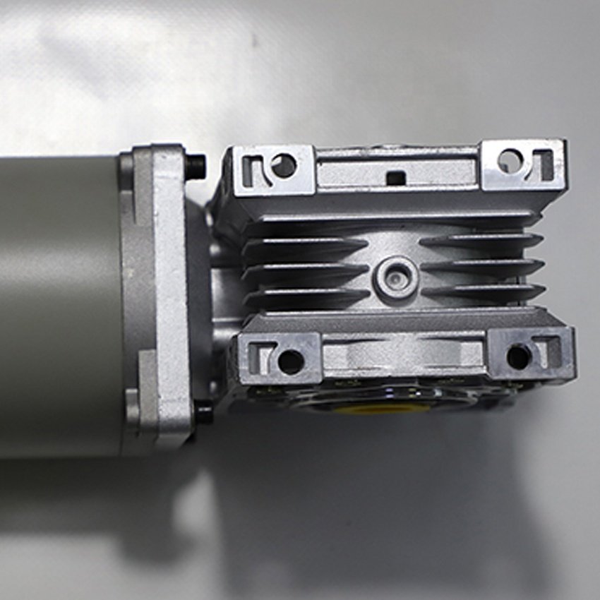 110ZYT 24V 60rpm DC Brushed Gear Motor with Dual Output Shaft Worm Gear Motor NMRV40 12V Permanent Magnet Fan Speed Ratio 60