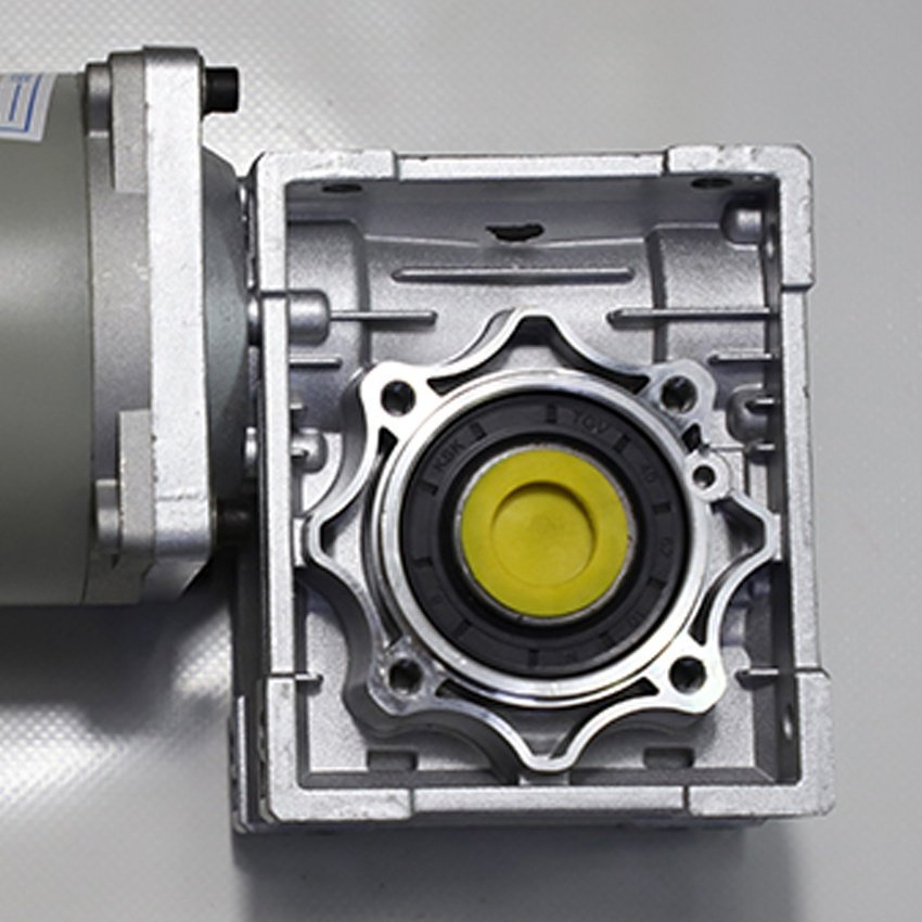 110ZYT 24V 60rpm DC Brushed Gear Motor with Dual Output Shaft Worm Gear Motor NMRV40 12V Permanent Magnet Fan Speed Ratio 60