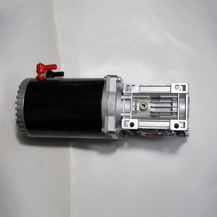 China High 900W Electric Motor 24V High Torque Low RPM Brushed DC Geared Motor Permanent Magnet Fan Boat Use 24V Volta Sale