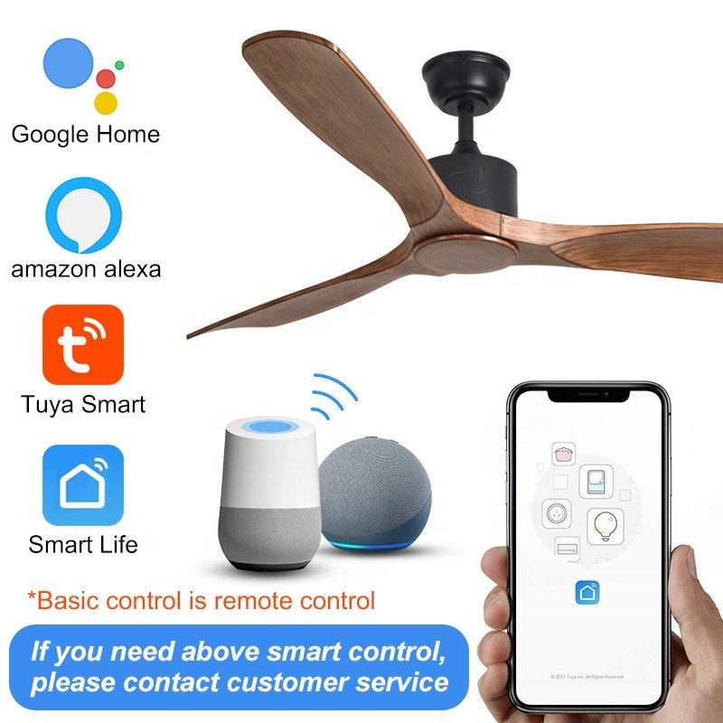 C067 52 INCH Ceiling Fan Without Light VENTILADOR FLY AGOTADO DC APP CONTROL