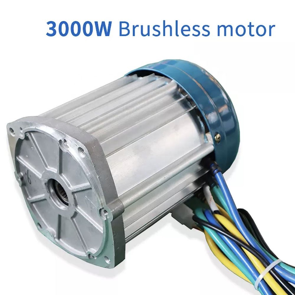 3 Wheels Electric Tricycle 1000W 48V Electric Differential Rickshaw Tricycle With Disc Brake Rear Bridge