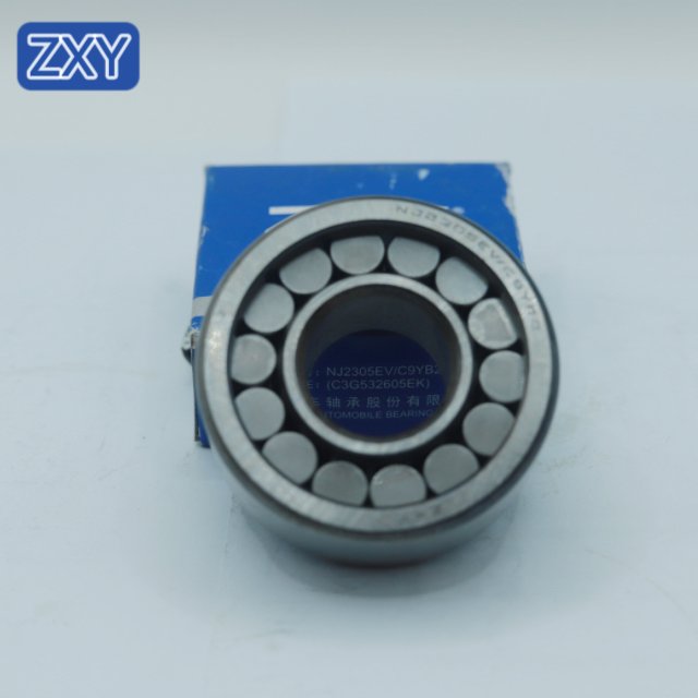 Cylindrical Roller BearingNJ2305 NJ305 NU306 NUP210 NUP2209 NUP306 NUP307 NUP310 NUP308 NUP309 NUP311
