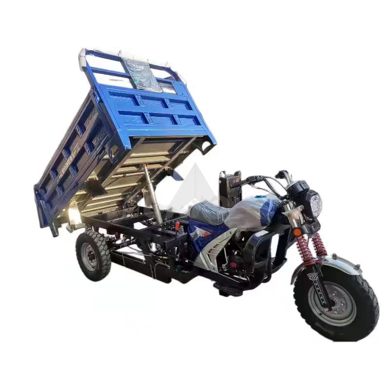 150cc 200cc 300cc 1000cc Motorcycle Bajaj Auto Three Wheeler Images