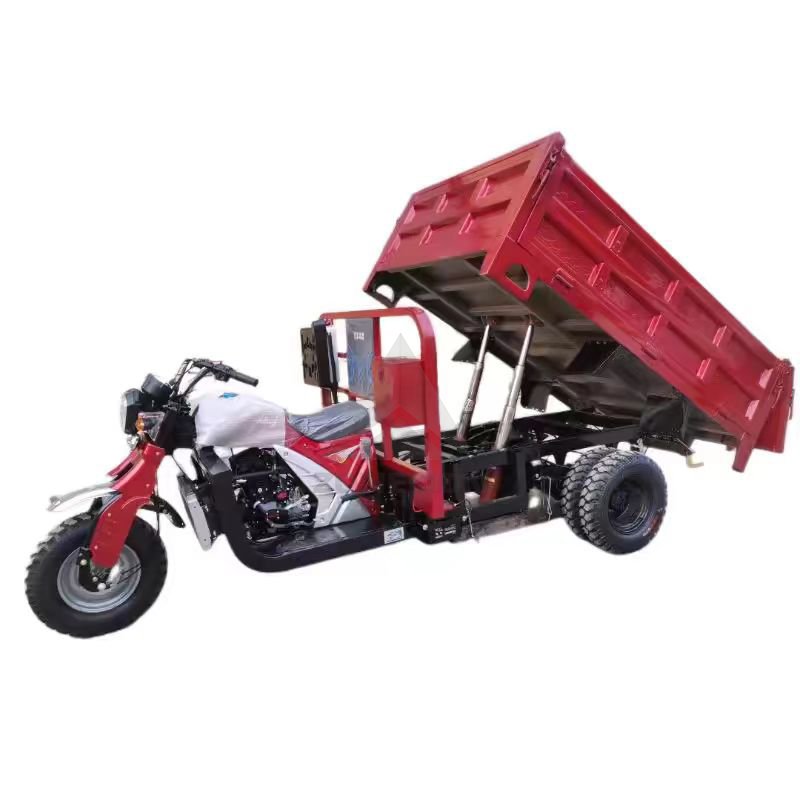 150cc 200cc 300cc 1000cc Motorcycle Bajaj Auto Three Wheeler Images