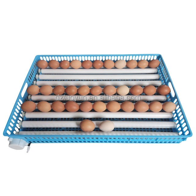 TUOYUN Hot Selling 512 Eggs Steel Duck Incubators Auto Electric and Battery Egg Setter Incubator Hatcher