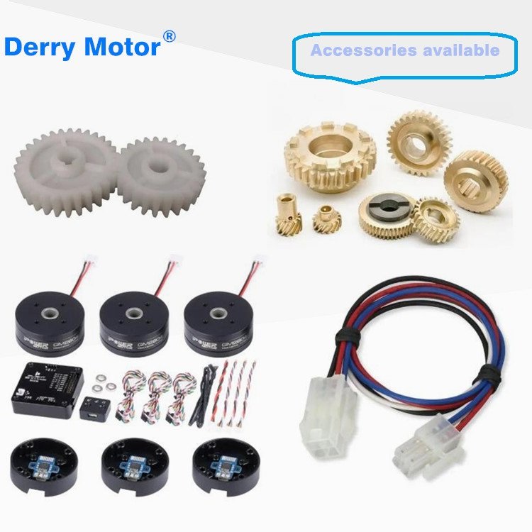 12V 24V 48V 90V DC 73mm High Torque Worm Gear Motor for Golf Trolleys