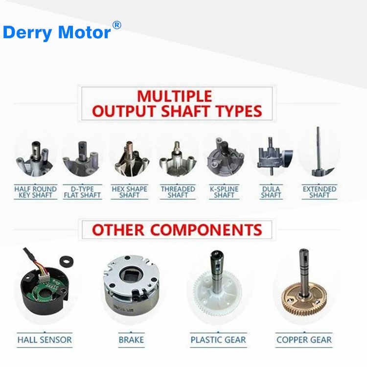 12V 24V 48V 90V DC 73mm High Torque Worm Gear Motor for Golf Trolleys
