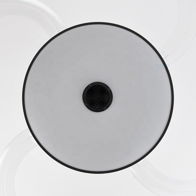 2030 110V 220V 42inch Fan Ceiling Fan Hidden Blades with Speaker