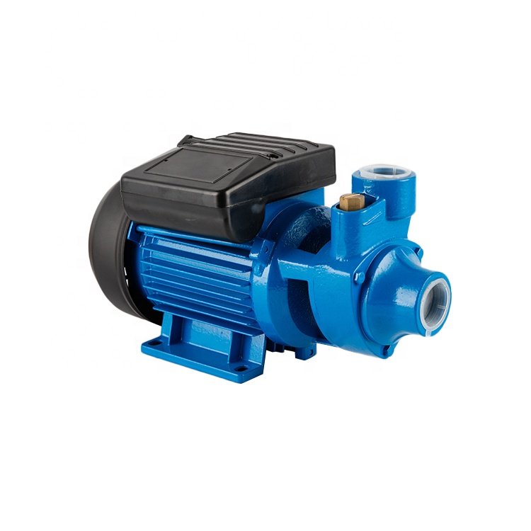 Hot Sale IDB Series Small Electric Clean Domestic 0.5hp 1hp Garden Auto Suck Bombas De Irrigation Pumps Price Water Pump