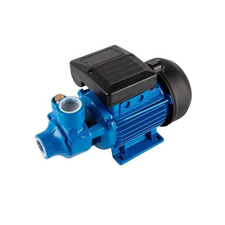 Hot Sale IDB Series Small Electric Clean Domestic 0.5hp 1hp Garden Auto Suck Bombas De Irrigation Pumps Price Water Pump