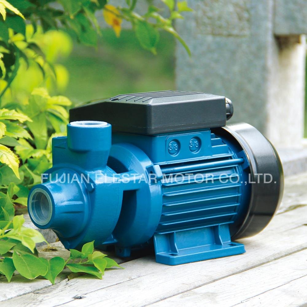 Hot Sale IDB Series Small Electric Clean Domestic 0.5hp 1hp Garden Auto Suck Bombas De Irrigation Pumps Price Water Pump