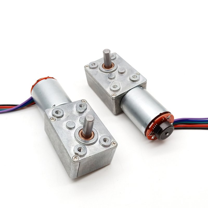 12v Dc Worm Gear Motor Encoder 6rpm High Torque Motor 24v Dc Worm Gear Motor