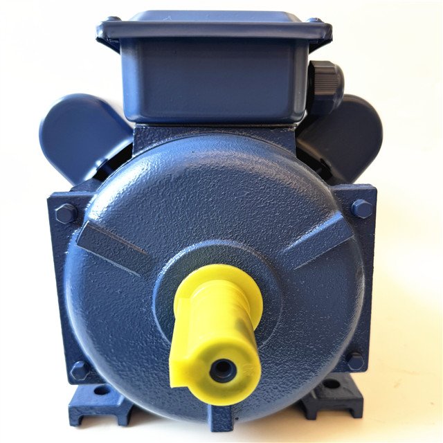 Electric Motors