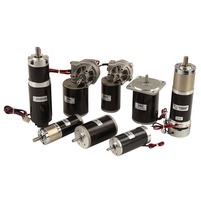D59 PMDC Brushed Electric Worm Gear Motor with Encoder 12 Volt 24 Volt 30W for Food Processor