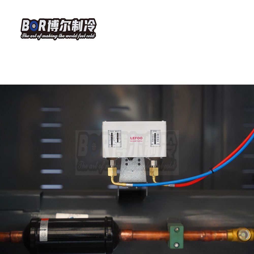Bitzer 380V Energy-Saving Cold Room Refrigeration Unit Custom V-Type Box Design Fast Delivery Copeland Automatic Motor