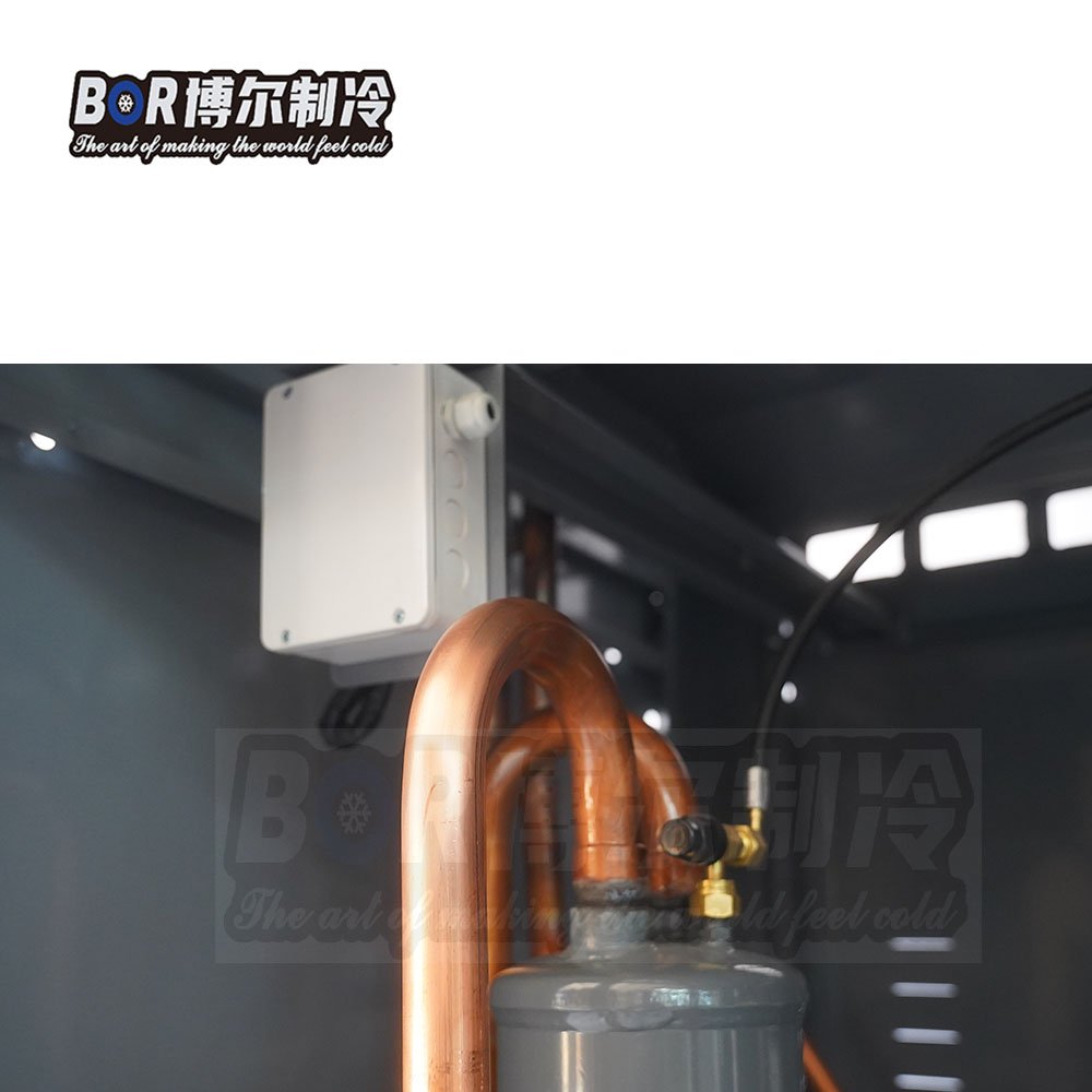 Bitzer 380V Energy-Saving Cold Room Refrigeration Unit Custom V-Type Box Design Fast Delivery Copeland Automatic Motor