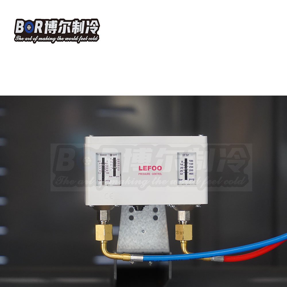 Bitzer 380V Energy-Saving Cold Room Refrigeration Unit Custom V-Type Box Design Fast Delivery Copeland Automatic Motor