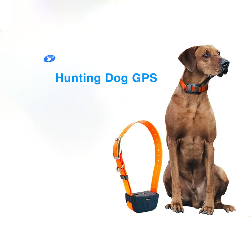 POP GPS Dog tracker Hunting Ik122 122t Pro Hound GPS tracker 4G Globally Dropshipping for Dog Waterproof