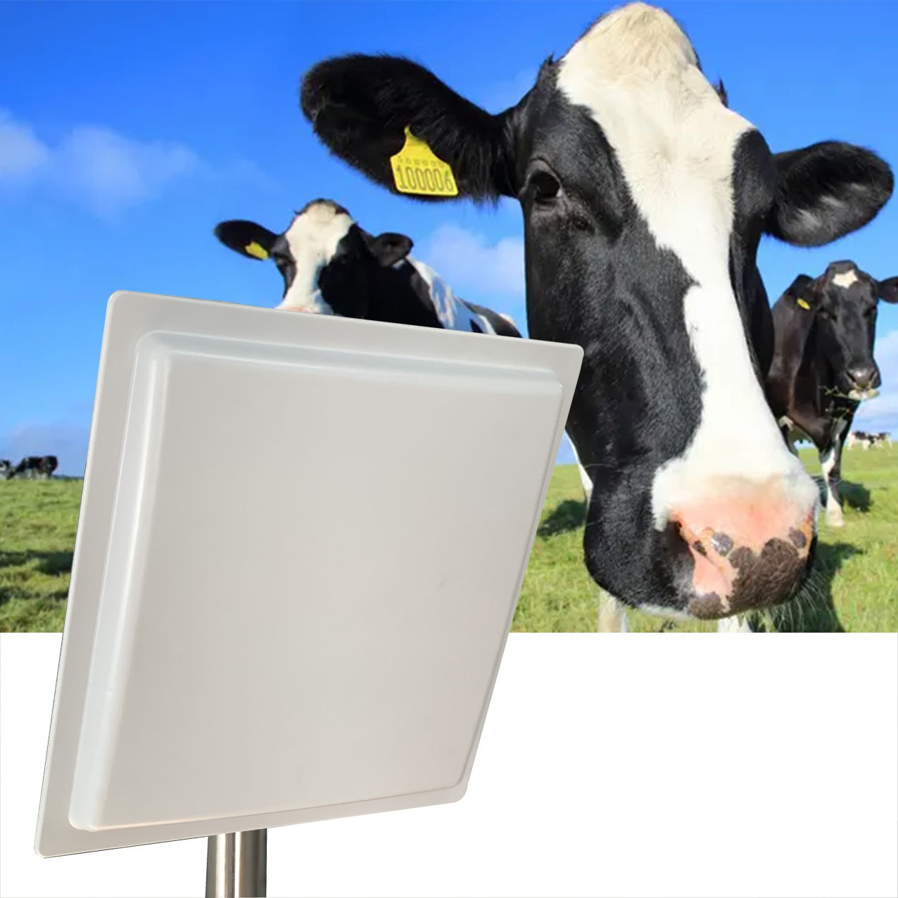 Integrated Cattle Cattle 900Mhz Long Range Waterproof Tag and Livestock Animal Id Rfid Reader 860 960 mhz UHF RFID Reader