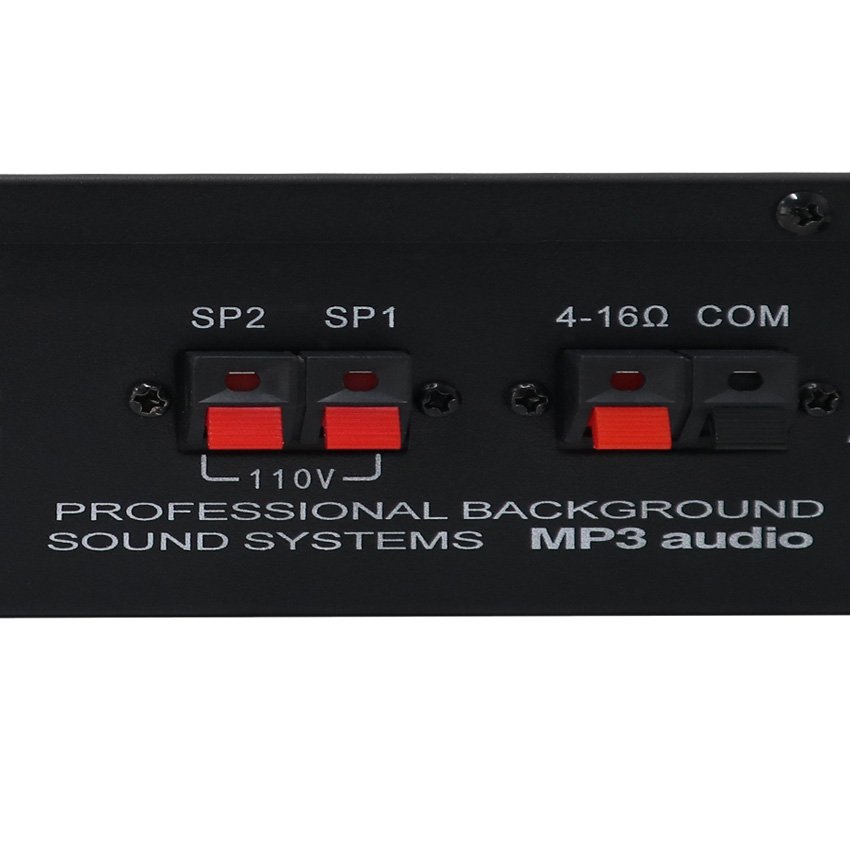 2024 Professional Mini Power Amplifier New Black 50W 2 Zones BT Audio for Home Restaurant Use 220V Antenna FM Radio Tuner