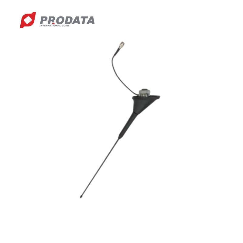 Hot Sale AM 520~1710 KHz radio Antenna For Car Roof
