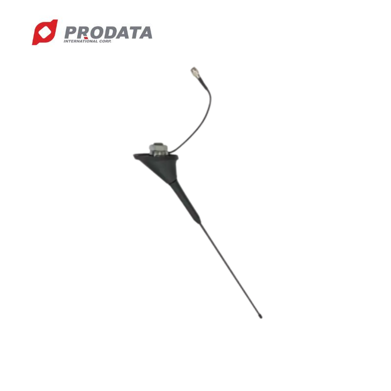 Hot Sale AM 520~1710 KHz radio Antenna For Car Roof