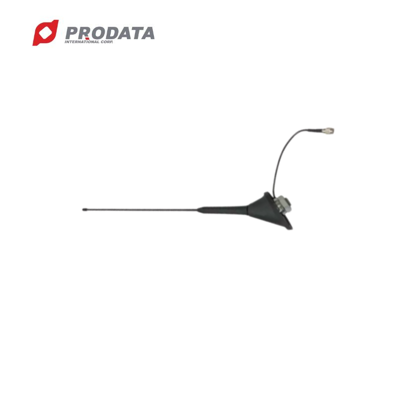 Hot Sale AM 520~1710 KHz radio Antenna For Car Roof