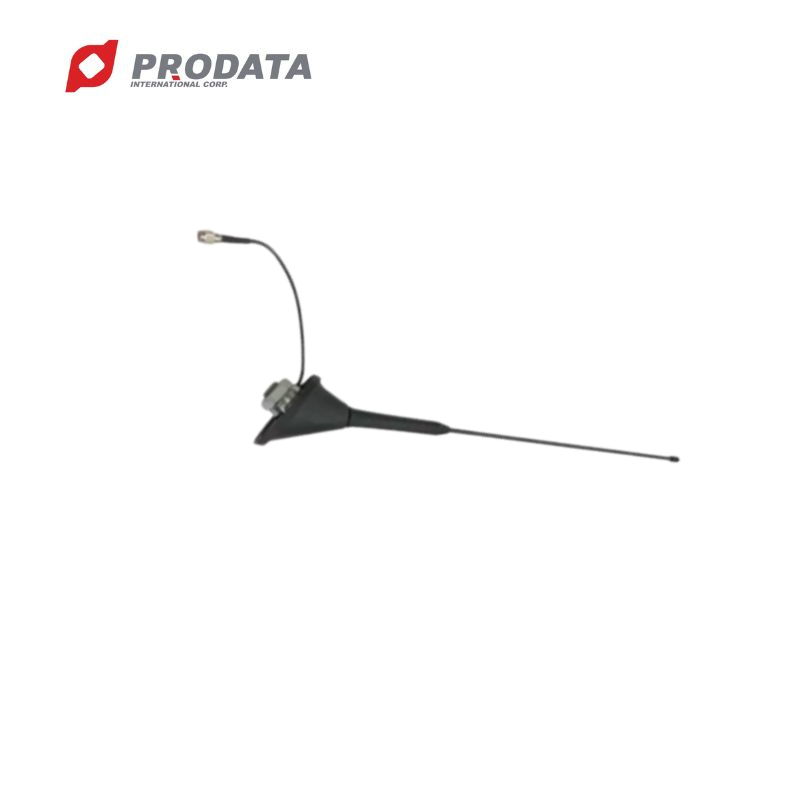 Hot Sale AM 520~1710 KHz radio Antenna For Car Roof