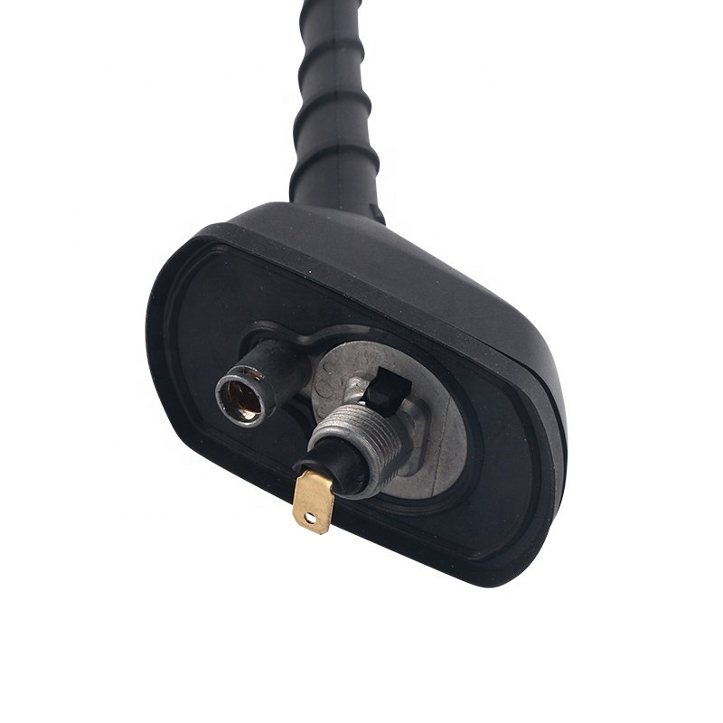 Factory Price Am Fm Function Car Antenna
