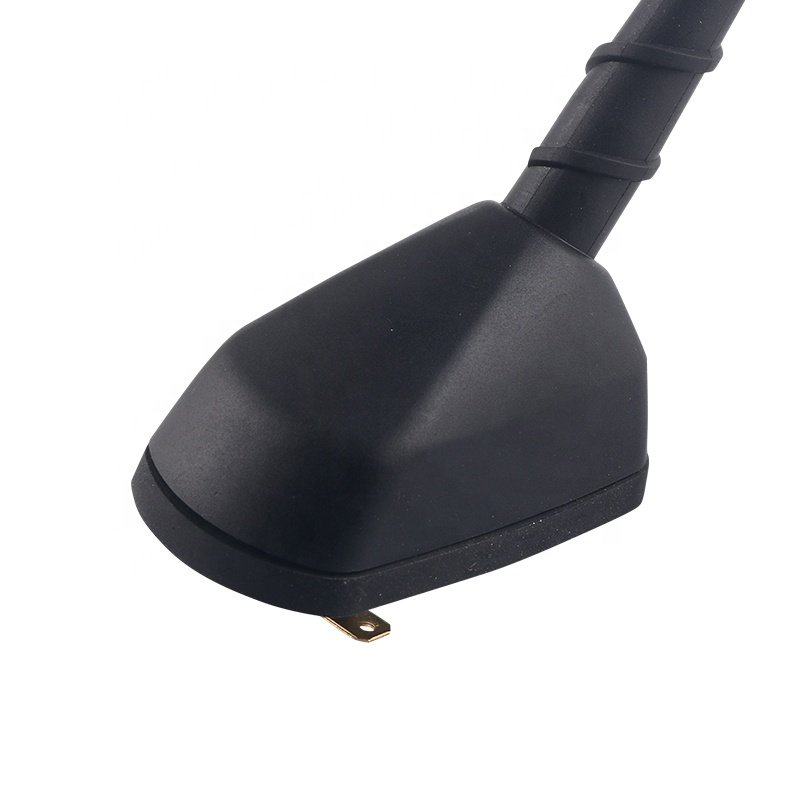 Factory Price Am Fm Function Car Antenna