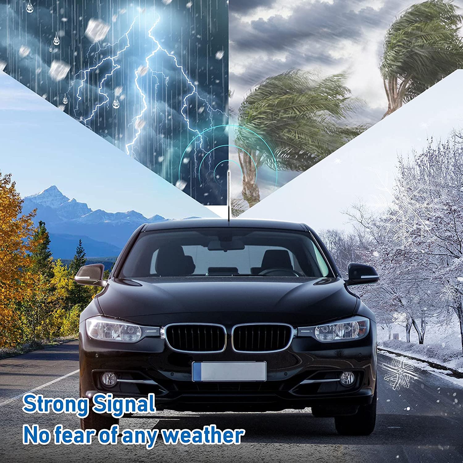 High Gain Waterproof External Auto DAB Radio antenna Omni Car FM AM Whip Antenna