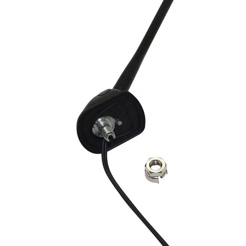 Tronix Digital Radio Receiver Car Radio Aerial Car Antenna Mount 12V AM FM Radio Antenna