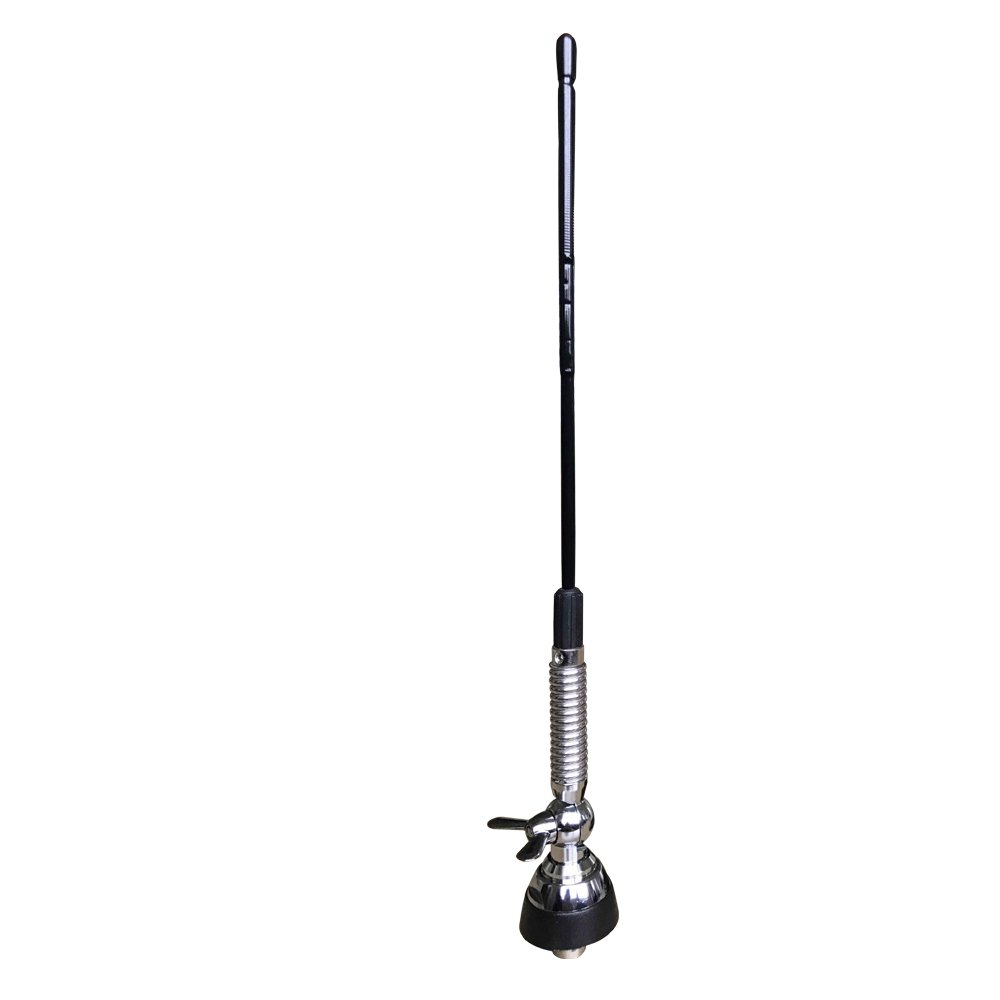 Premium Decorative Car Dummy Long Antenna