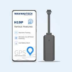 H19P_2G