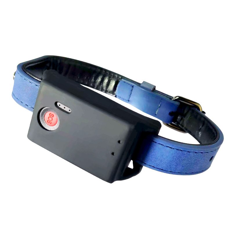 4G Gps Tracker Pet Chip Waterproof North America Gsm Gprs System Protective Casing GPS Tracker