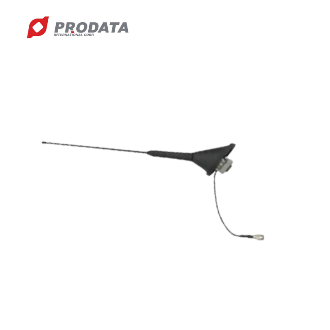 High quality long range Radio Antenna Car Antenna