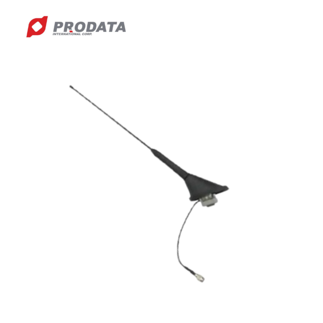 High quality long range Radio Antenna Car Antenna